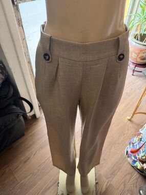 High-Rise Taupe Dress‎ Pants for Women